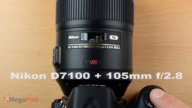 MegaPixel.co.il: Nikon D7100 vs. Nikon D7000 Focusing Speed смотреть онлайн