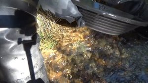 Нашёл россыпь золота !!!