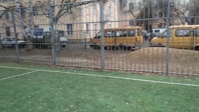 Жёлтая газель