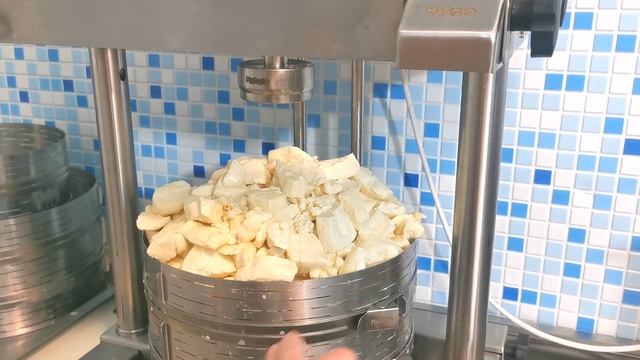 Чеддер в бандаже / Сыроварня Maggio и Пресс для Сыра Маджио / Оборудование для производства сыров смотреть онлайн