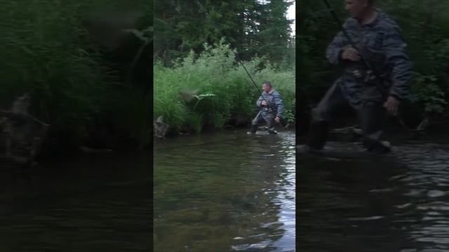 1565 Поймал Рыбу Хариус, где Плавился #дмитрийяков #рыбалка #тайга #fishing #хариус #выживалово
