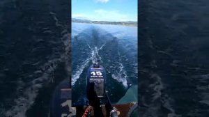 Ривьера 2900 мотор Parsun 2.6 неправильная свечя