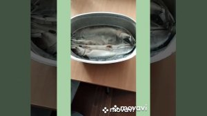 Коптим скумбрию часть 1# свинину #  - Smoke mackerel # pork # part 1.