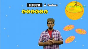 Glycolysis, Kreb's Cycle, ETC reaction || Life processes in Living Organisms Part 1 Class 10 SSC