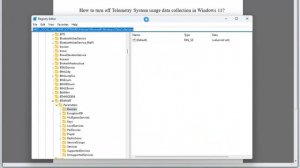 Turn off Telemetry System usage data collection in Windows 11