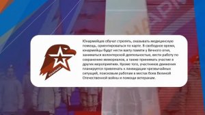 Сводный отчет о деятельности ЮНАРМИИ в Республике Башкортостан