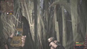 S.T.A.L.K.E.R. Lost Alpha DC #12 Жуткая Пси-Колба