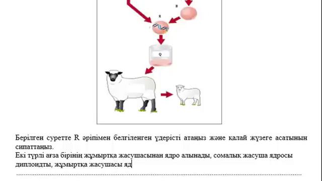 11 сынып Биология 3 тоқсан ТЖБ ЖМ бағыты