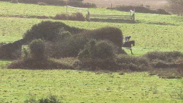 P2P - Lingstown 22 Nov 2020 - R1 D1 Tattersalls Ireland 4yo Maiden смотреть онлайн