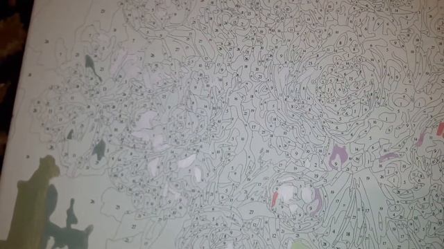 Картина Пионы по номерам смотреть онлайн