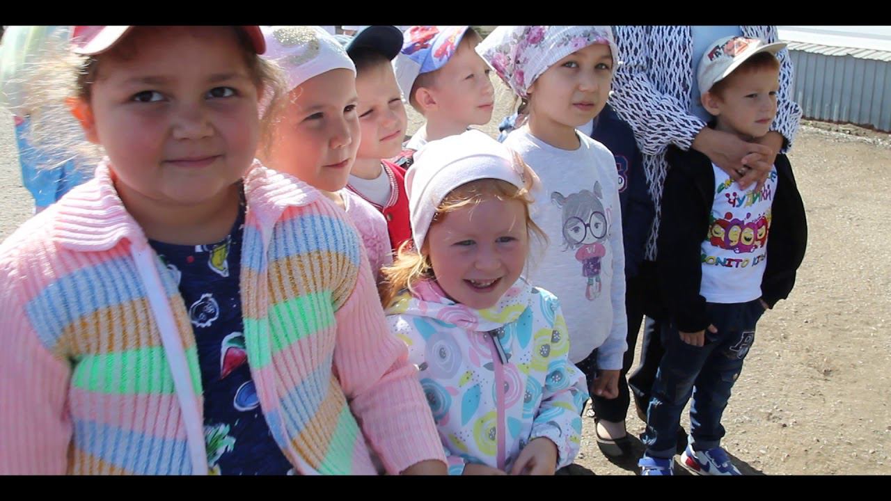 Проект ООО "Газпром трансгаз Самара" для детей "Витаминки"