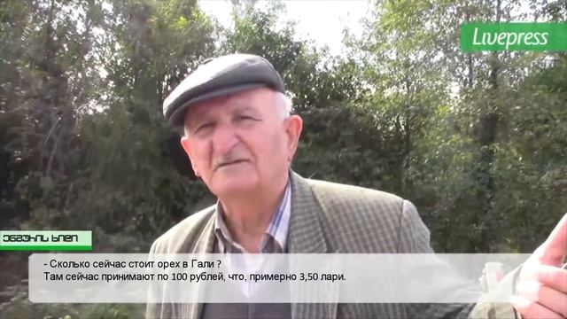 Реализация орехов смотреть онлайн