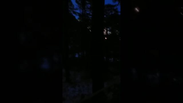 Спуск с лестницы с 1000 ступенек, играем в правду или действие смотреть онлайн