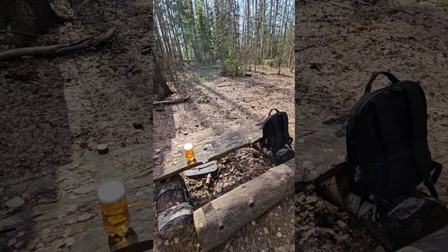 я в лесу ем колбасу смотреть онлайн