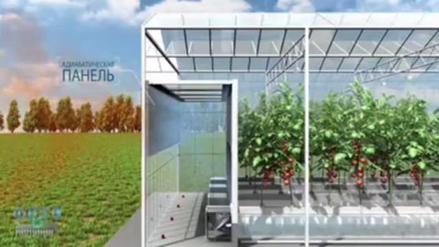 Современные технологии_ Современные теплицы #парник #теплица #теплицы #современныйинтерьер #хобби