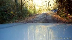 Поездка в Сочинский зимний лес