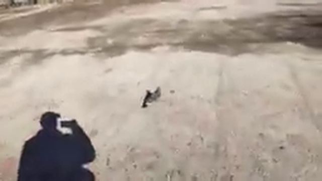 ГУЛЯЕМ ПО ХАРЬКОВУ! ВОЗДУШНАЯ ТРЕВОГА! В ХАРЬКОВЕ ВКЛЮЧИЛИ ФОНАРИ!?? смотреть онлайн