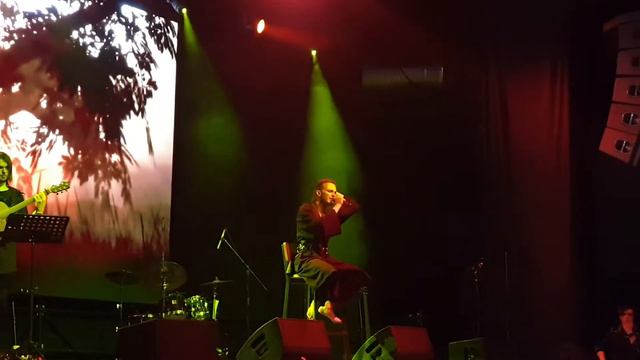 Ярослав Баярунас - Песня Присциллы/ The Wolven Storm (OST The Witcher 3: Wild Hunt) смотреть онлайн