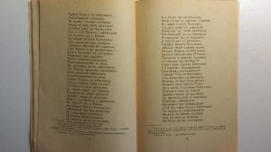 Вольга-богатырь. Стихи-сказка.