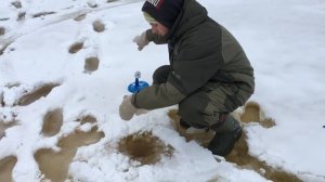 Зимняя рыбалка в Заколдырье