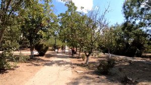 Севастополь Андреевка. Отзывы об Андреевке. Бархатный сезон в Крыму 2020. Показываю все как есть