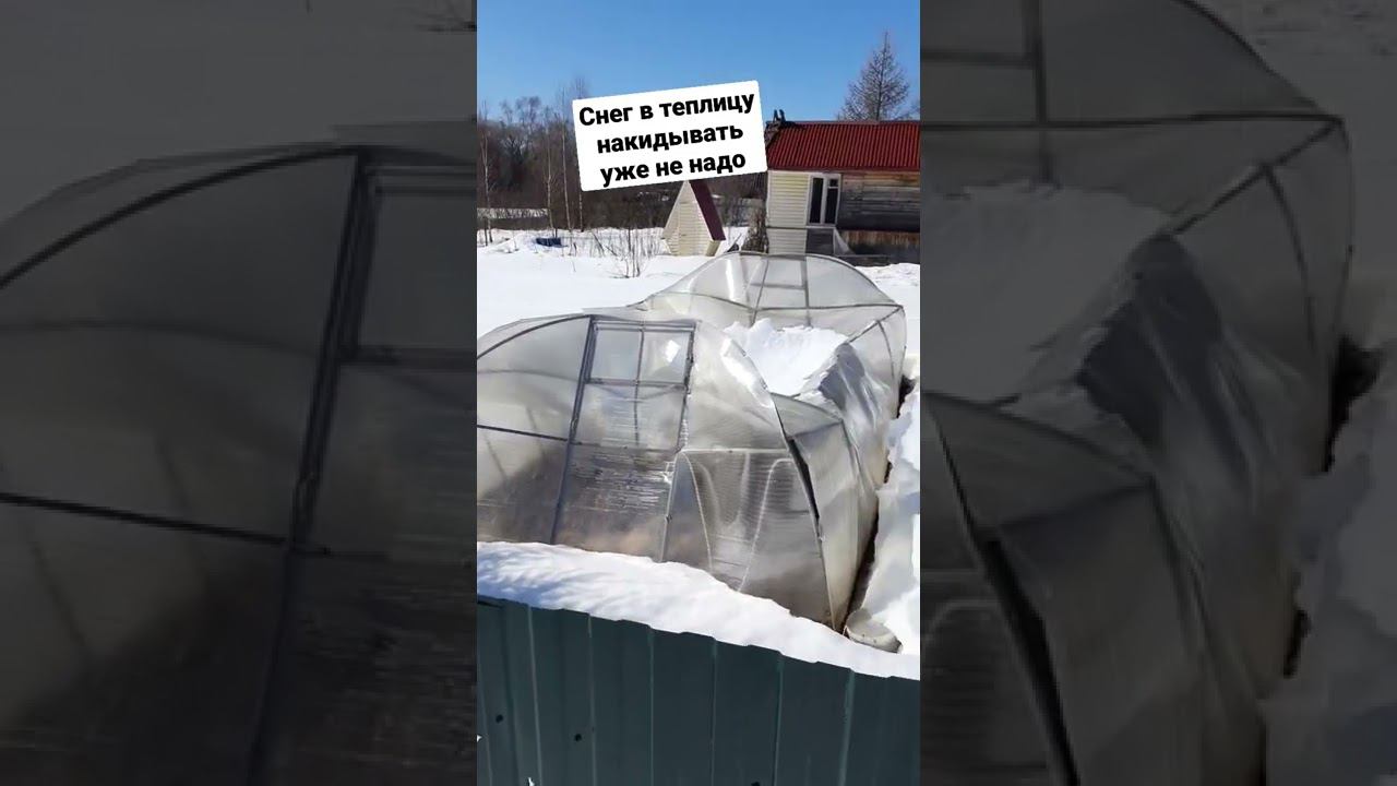 Много теплиц снег раздавил в этом году смотреть онлайн