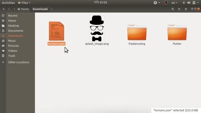 Lottie Animation for Splash Screen || Android development