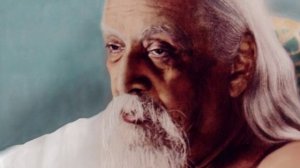 Интегральная йога Шри Ауробиндо. Глава 1