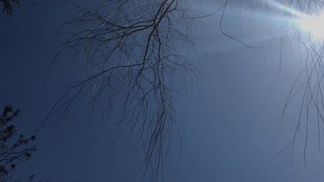 Gluck Melodie from "Orfeo ed Euridice" Violin and Piano смотреть онлайн