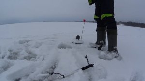 Рыбалка на новогодние праздники на Рузском водохранилище   03.01.2019 год
