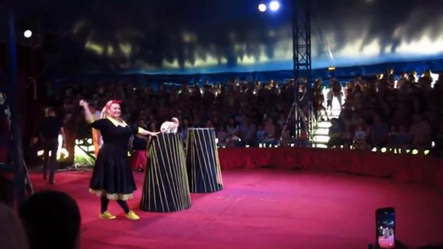 Цирк Шапито смотреть онлайн