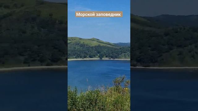 Морской заповедник, Приморский край. #БлогВладивосток