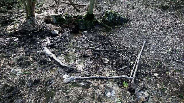 Нижний источник на Дальней Дойке смотреть онлайн