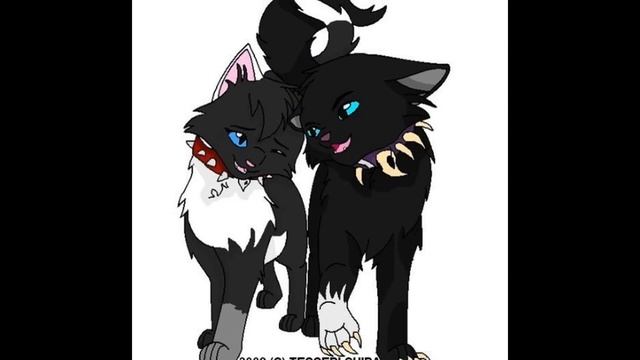 Бич, коты воители;)Bich cat voitele смотреть онлайн