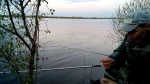 РЫБАЛКА НА ФИДЕР В НИЖЕГОРОДСКОЙ ОБЛАСТИ НА ВОЛГЕ