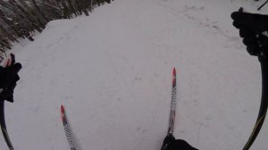 С горки на беговых лыжах