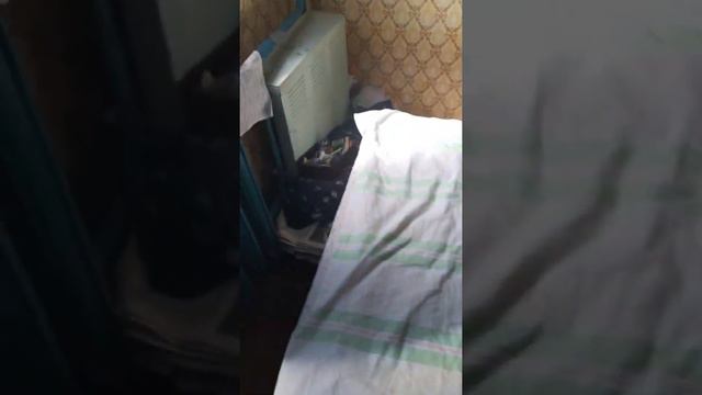 Жибер ползает по пакетам и ящикам/ Бритьё ножницами Виктора Аркадьевича