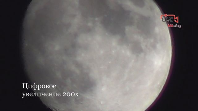 Полнолуние. Какая Луна? Растущая фаза.