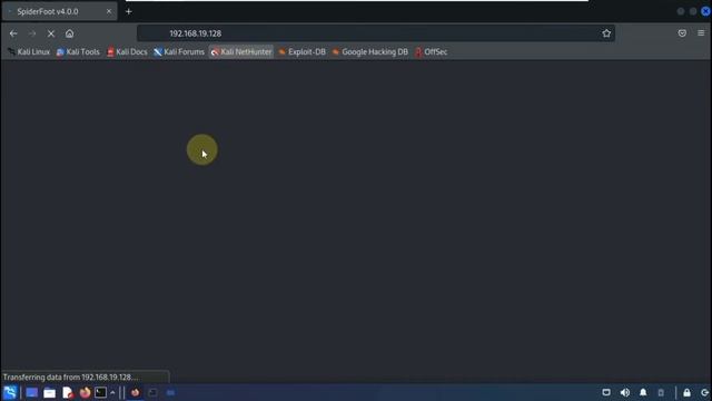 Spiderfoot kali linux tutorial | The AB