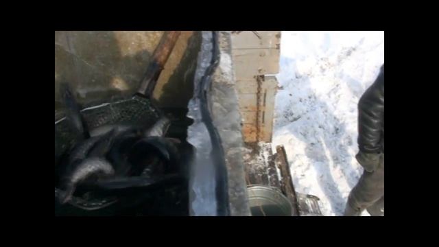 зарыбление водоема село Андреевское