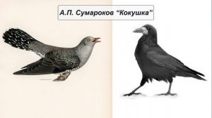 А.П. Сумароков "Кокушка"