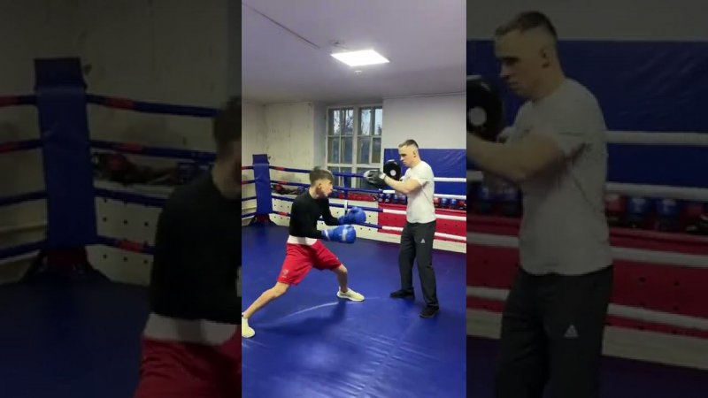 #shorts #boxing
