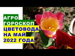 Агрогороскоп цветовода на май 2022 года