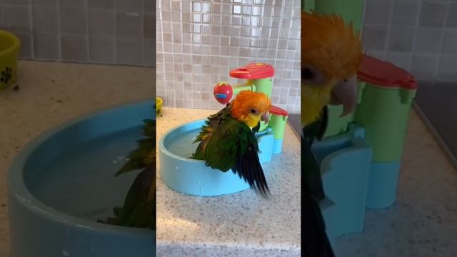 милоевидео.mp4