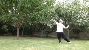 Форма 5 шагов.Традиционное УШУ.