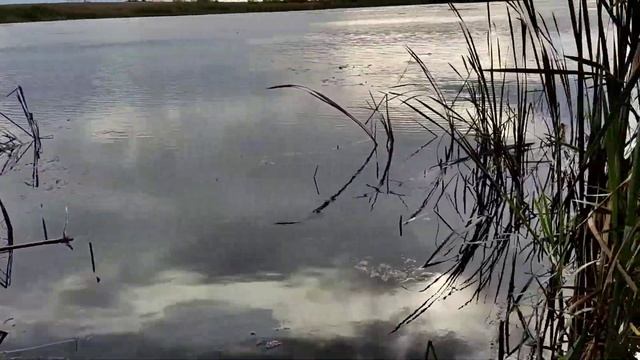 Обзор  посёлка , где я в гостях . ☺️?поселок Бабушкино ☔Калининградская область