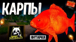 РР4/ рыбалка для души, ловим как универсал, общаемся 24.03.24
