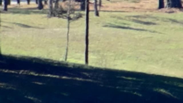 Olympus SP-100EE with 50X optical, 200x total about 0.7 mile. Dotsight смотреть онлайн