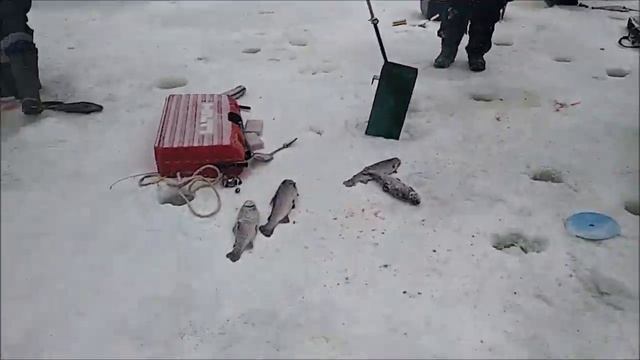 На спорт-зоне жарко. Работают все виды приманок. Клёвое место, Лосиный остров. смотреть онлайн