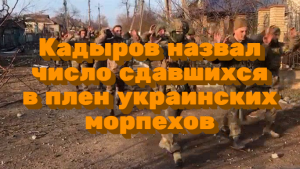 Кадыров назвал число сдавшихся в плен украинских  / Мировые новости